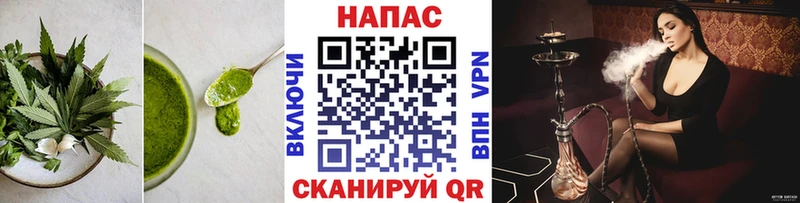 Купить  Хвалынск  Cannafood конопля 