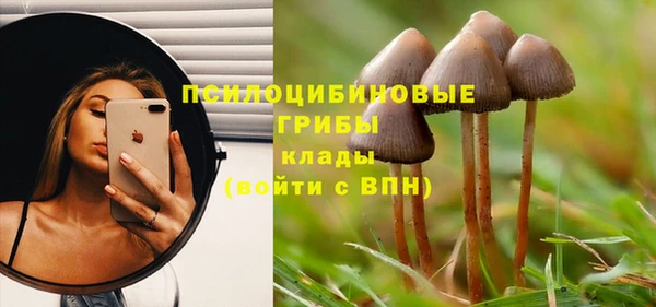 мескалин Заволжье