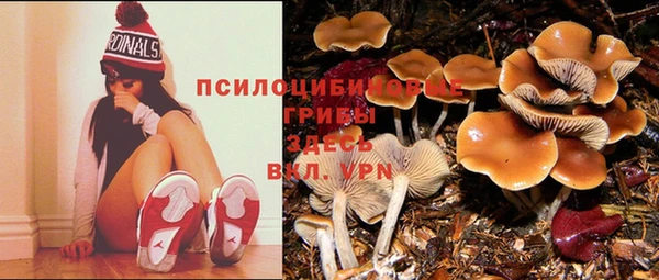 прущая мука Заводоуковск