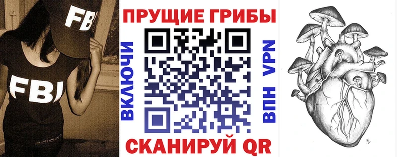 Купить где  Хвалынск  Псилоцибиновые грибы MAGIC MUSHROOMS 