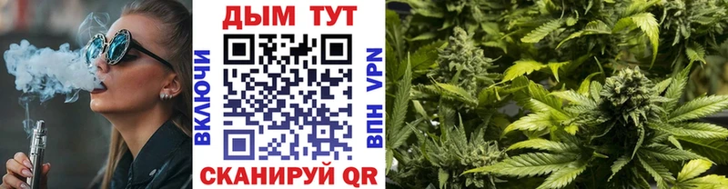 Купить закладки  Хвалынск  МАРИХУАНА SATIVA & INDICA 